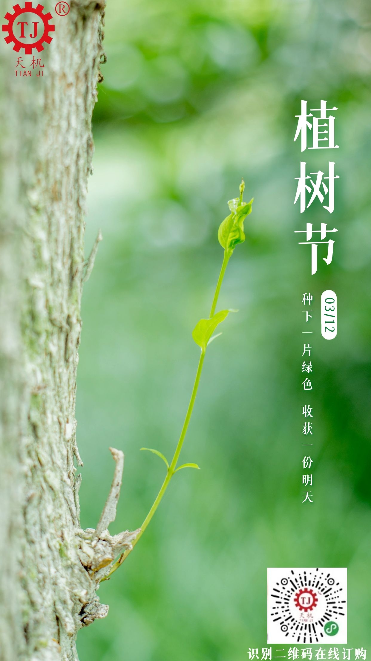 植樹(shù)節(jié)