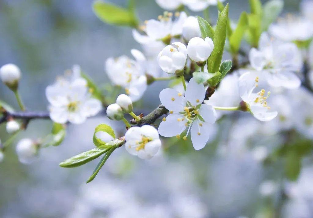 3寸轉(zhuǎn)6寸氣脹軸春風(fēng) 3寸轉(zhuǎn)6寸氣脹軸春風(fēng)