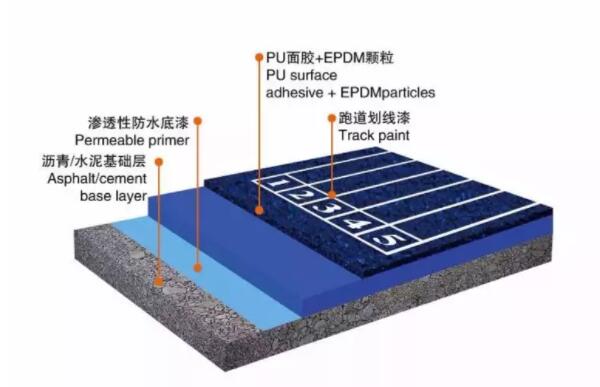 塑膠跑道結(jié)構(gòu)圖